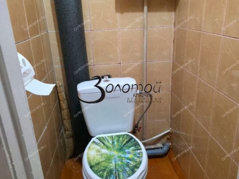 prosp-ilicha-d-17 фото