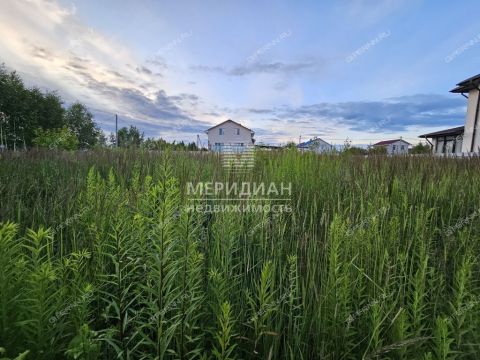 gorod-bor-gorodskoy-okrug-bor фото