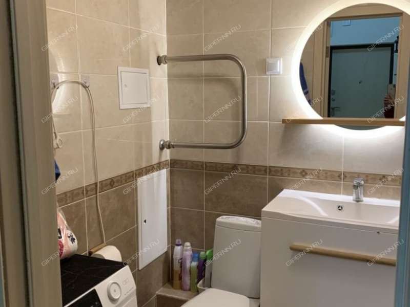 двухкомнатная квартира на Русской улице улице дом 9 деревня Анкудиновка