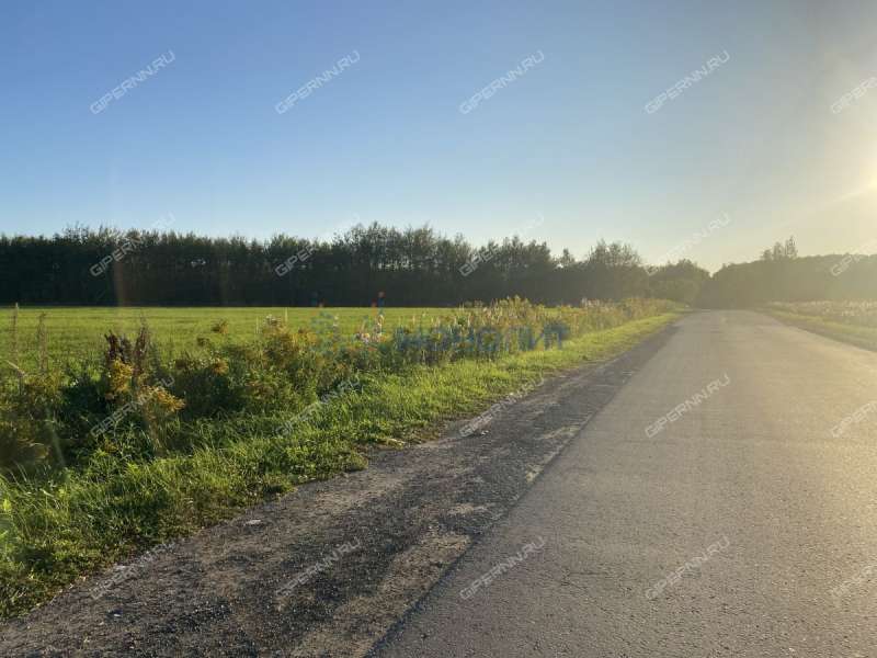 земельный участок 70 соток Цветаевой улица село Каменки