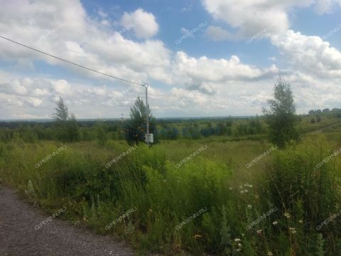 selo-efimevo-bogorodskiy-municipalnyy-okrug фото