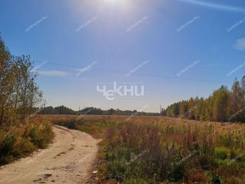 dom-derevnya-belousovo-gorodskoy-okrug-bor фото