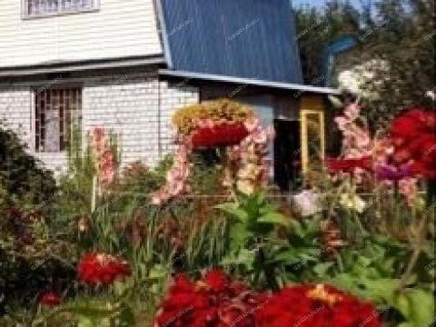 dacha-prosp-molodezhnyy фото