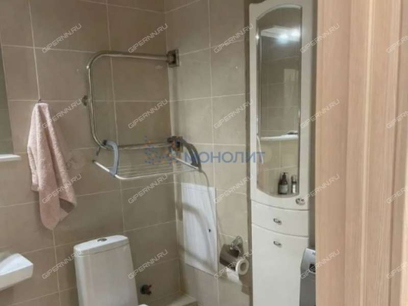 однокомнатная квартира на Русской улице улице дом 18 деревня Анкудиновка