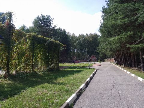 derevnya-hmelevka-sokolskiy-gorodskoy-okrug фото
