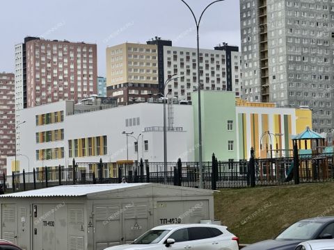 1-komnatnaya-ankudinovka-kstovskiy-rayon фото