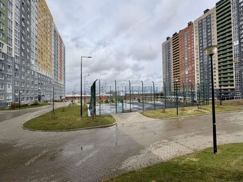 однокомнатная квартира на Русской улице улице дом 4 деревня Анкудиновка