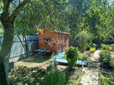 dacha-st-aviator фото