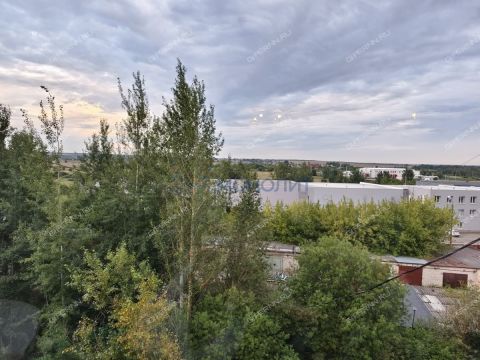 1-komnatnaya-poselok-druzhnyy-kstovskiy-rayon фото