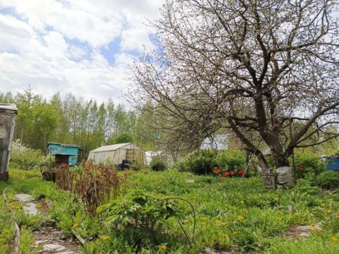 dacha-gorod-bor-gorodskoy-okrug-bor фото