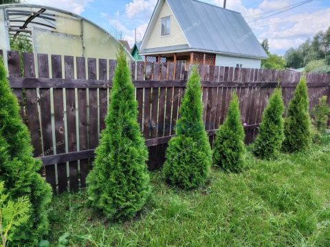 dacha-snt-pmk-246-balahninskiy-municipalnyy-okrug фото