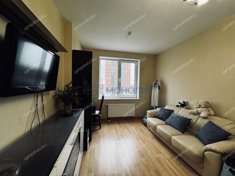 однокомнатная квартира на Русской улице улице дом 4 деревня Анкудиновка