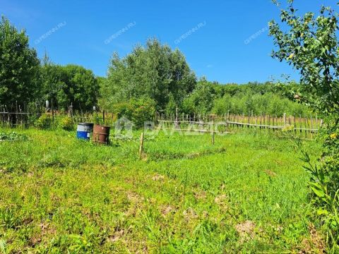 dom-derevnya-kopnino-bogorodskiy-municipalnyy-okrug фото
