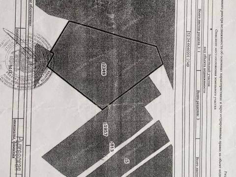 novinskiy-selsovet фото