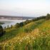 земельный участок 12 соток село Дуденево
