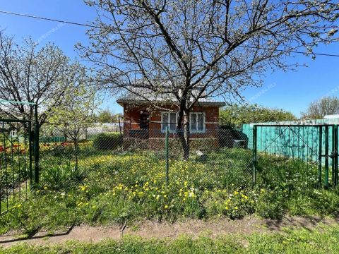 dacha-zvezdochka-derevnya-strahovo-ter-snt-gorodskoy-okrug-bor фото