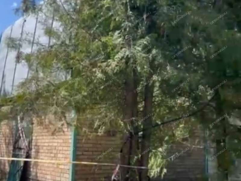 дача на  деревня Малые Могильцы