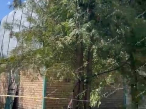 dacha-derevnya-malye-mogilcy-balahninskiy-municipalnyy-okrug фото