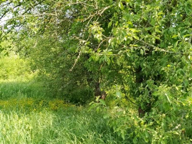 земельный участок 10,5 сотки СНТ Пыра-1 город Балахна