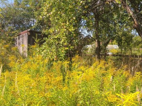 dacha-gorod-kstovo-kstovskiy-rayon фото