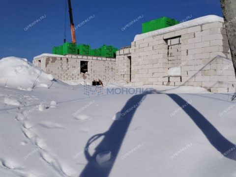 kottedzh-derevnya-burcevo-bogorodskiy-municipalnyy-okrug фото