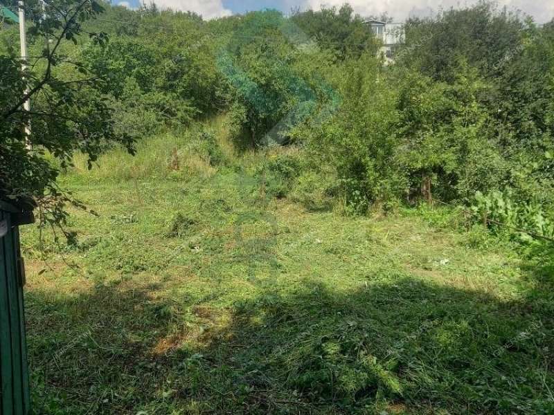 дача на СНТ Дружба