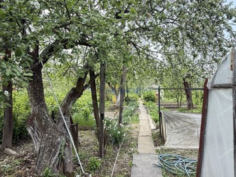 dacha-gorod-bor-gorodskoy-okrug-bor фото
