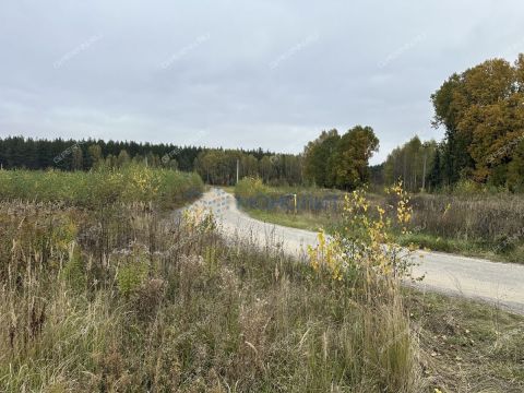 derevnya-shopovo-bogorodskiy-municipalnyy-okrug фото