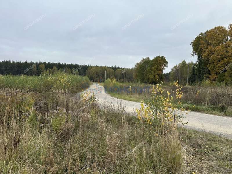 земельный участок 9,1 сотки Яблоневая улица деревня Шопово