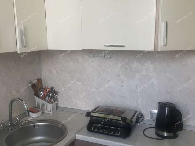 двухкомнатная квартира на улице Академика Павлова дом 9