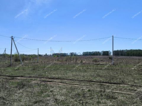 derevnya-maevka-diveevskiy-municipalnyy-okrug фото