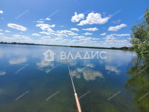 dom-selo-vad-vadskiy-municipalnyy-okrug фото