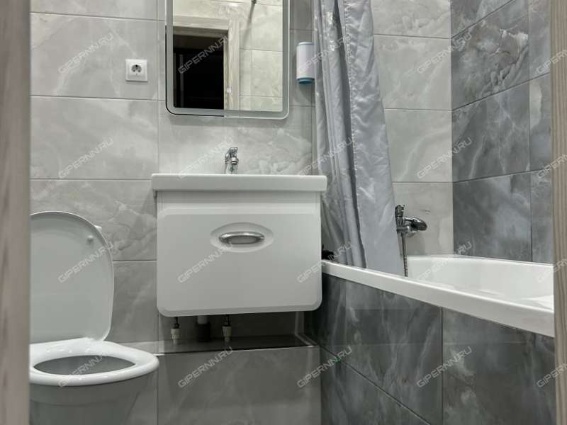 однокомнатная квартира на проспекте Гагарина дом 101 к1