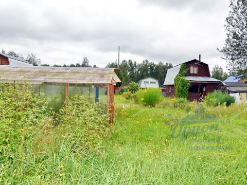 dacha-gorod-balahna-balahninskiy-municipalnyy-okrug фото