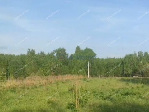 selo-timonkino-gorodskoy-okrug-chkalovsk фото