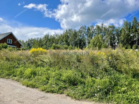 derevnya-shumilovo-bogorodskiy-municipalnyy-okrug фото