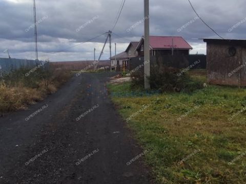 selo-kamenki-bogorodskiy-municipalnyy-okrug фото