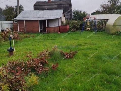 dacha-poselok-okskiy-bogorodskiy-municipalnyy-okrug фото