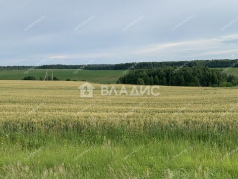 derevnya-kuvardino-kstovskiy-rayon фото