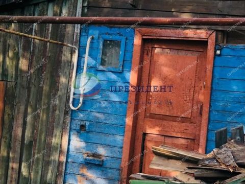 derevnya-lapino-gorodskoy-okrug-bor фото