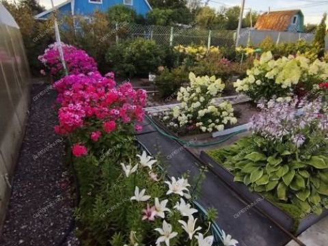 dacha-snt-nadezhda фото