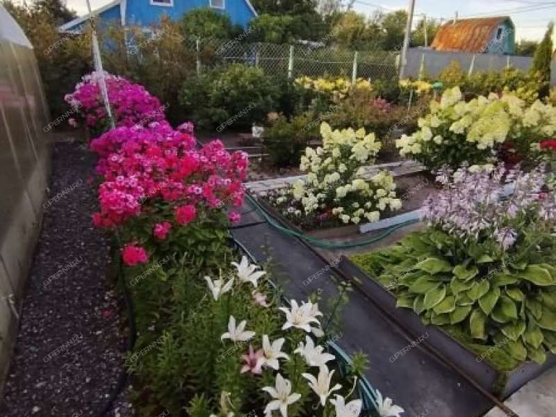 дача на СНТ Надежда