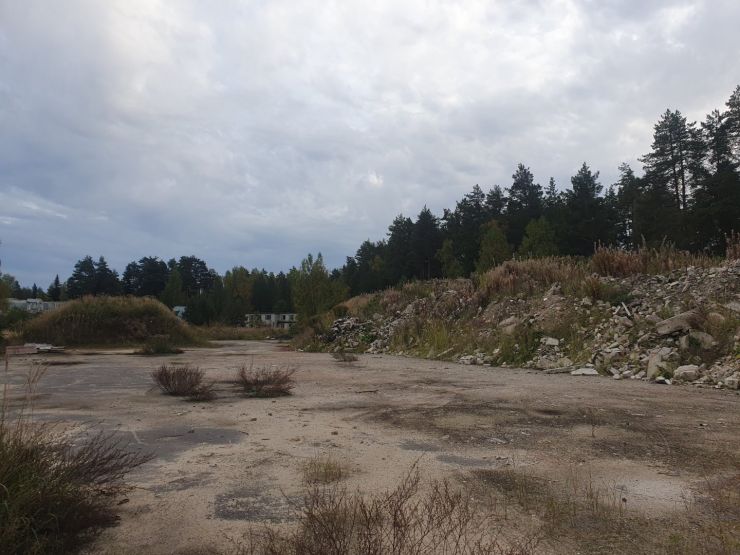 Фото: Ксения Ражева