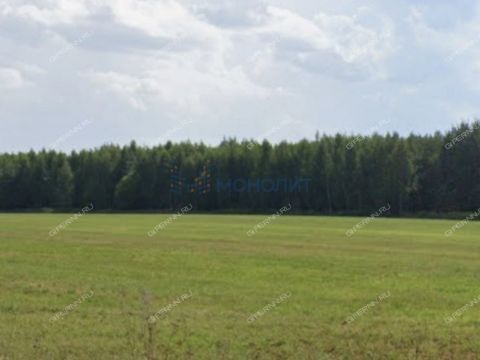 nizhegorodec-sp-dalnekonstantinovskiy-rayon фото