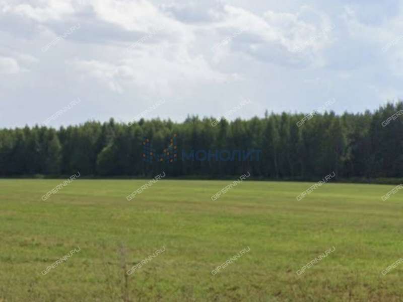 земельный участок под сельхоз назначение в Дальнеконстантиновском районе Нижегородской области