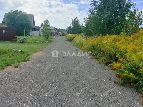 derevnya-knyazhevo-gorodskoy-okrug-bor фото