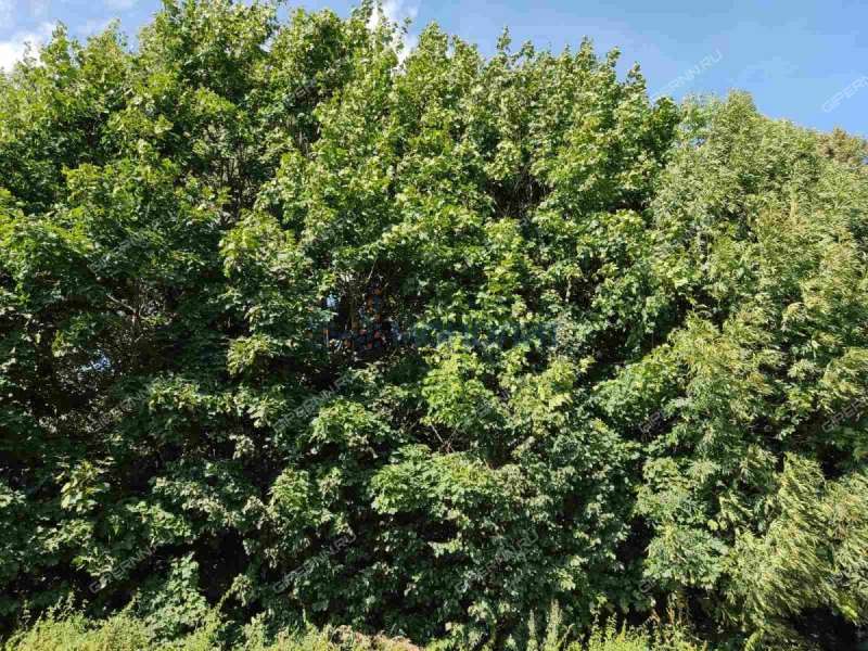 дом на - село Симбилей