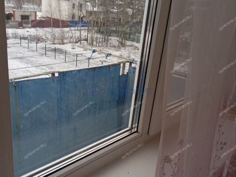 1-komnatnaya-derevnya-berezovka-bogorodskiy-municipalnyy-okrug фото