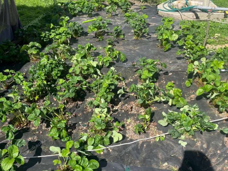 дом на СНТ Корабел