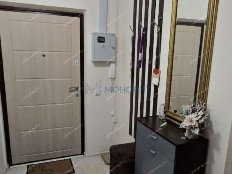 трёхкомнатная квартира на улице Бориса Видяева дом 10